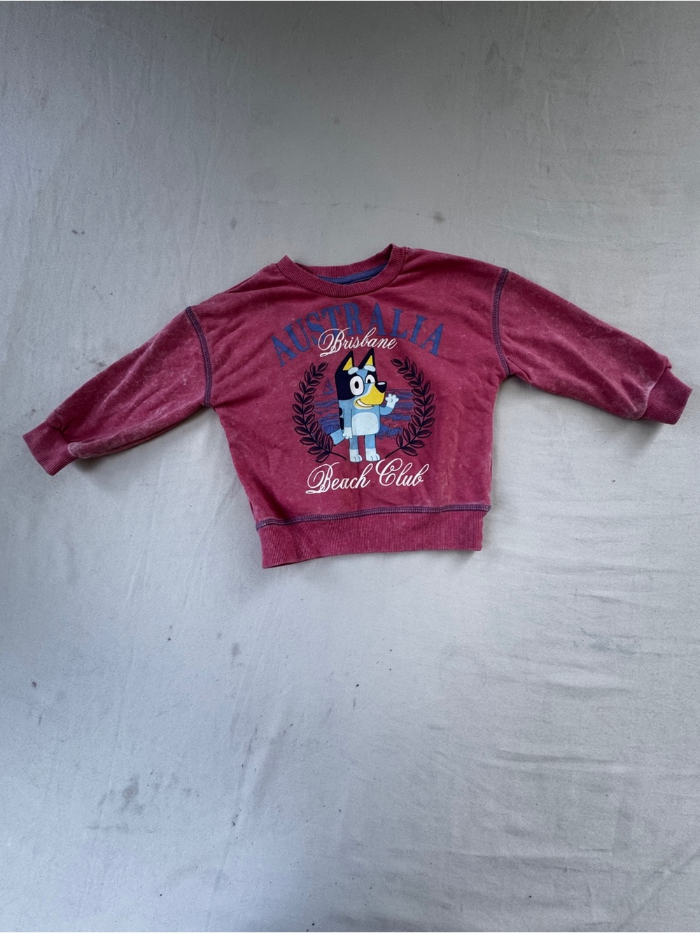 Bluey Lucy Pink-Red Australia Brisbane Beach Club Graphic Sweatshirt size 2 T
